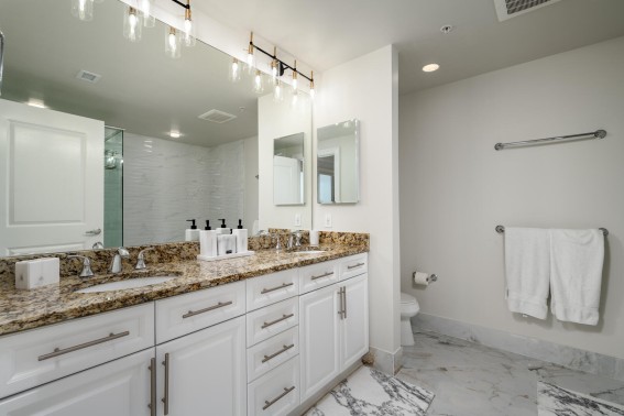 Gateway713-28+primary+bath.jpg?v=27320 Primary Bath